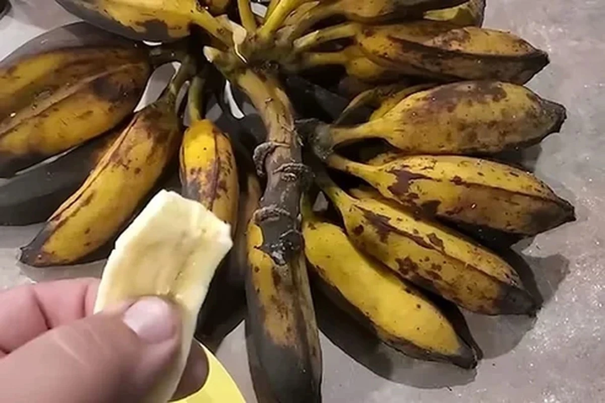 Racimo de bananos maduros y uno pelado en la mano