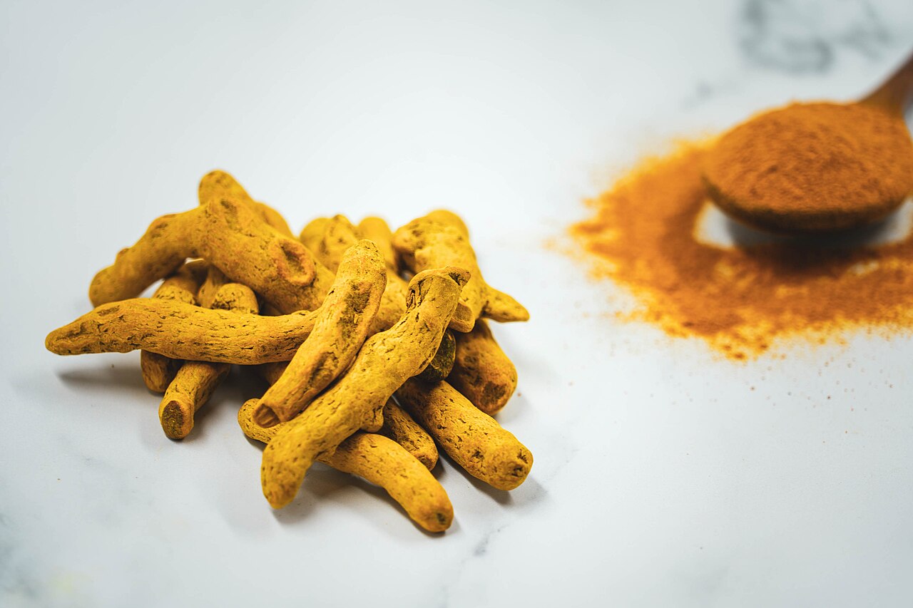 Raíz de cúrcuma y cúrcuma en polvo